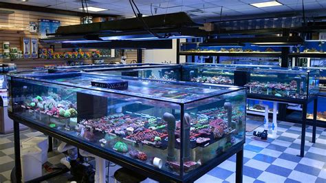 Contact — Best Fish Aquarium Shop.